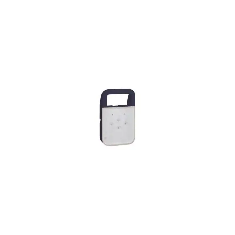 Bloc Autonome Portable d&rsquo;Intervention BAPI LED URA – Adressable ERDF – IP65 Expédié Aujourd’hui
