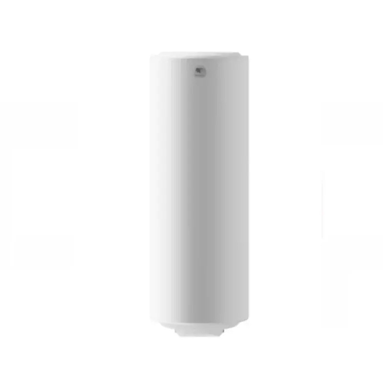 Promotion Chauffe-eau électrique blindé Thermor - 2200W - Vertical - 200L - 4 personnes