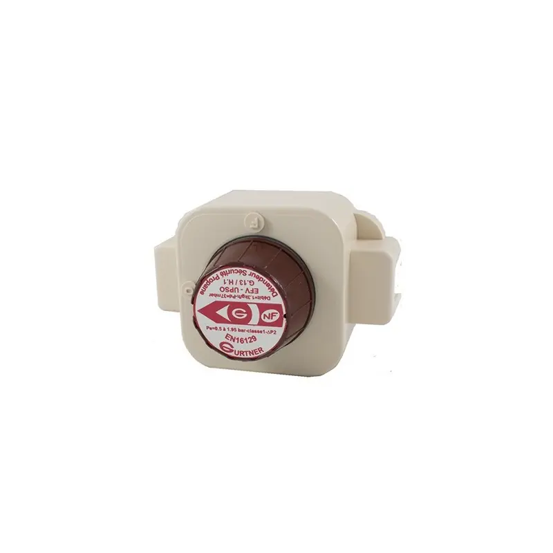 Meilleure Qualité Détendeur à sécurité DSP – 8kg/h – Propane – Blanc