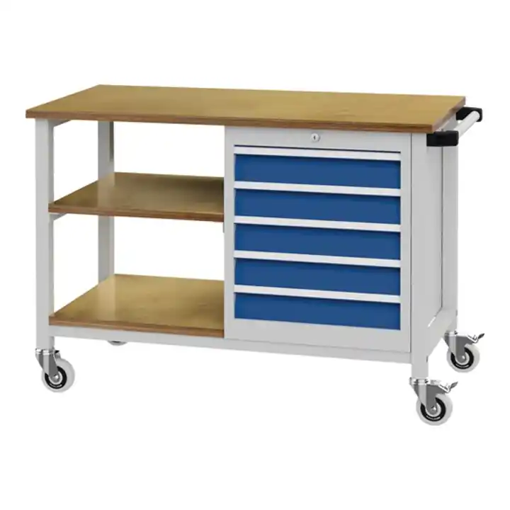 Must-Have Établi l.1200xP540xH859mm hêtre Multiplex gris clair, RAL 7035 bleu séc., RAL 50