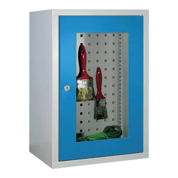 Armoire murale Bedrunka+Hirth avec 1 fenêtre de visualisation Porte avec panneau arrière perforé Premium