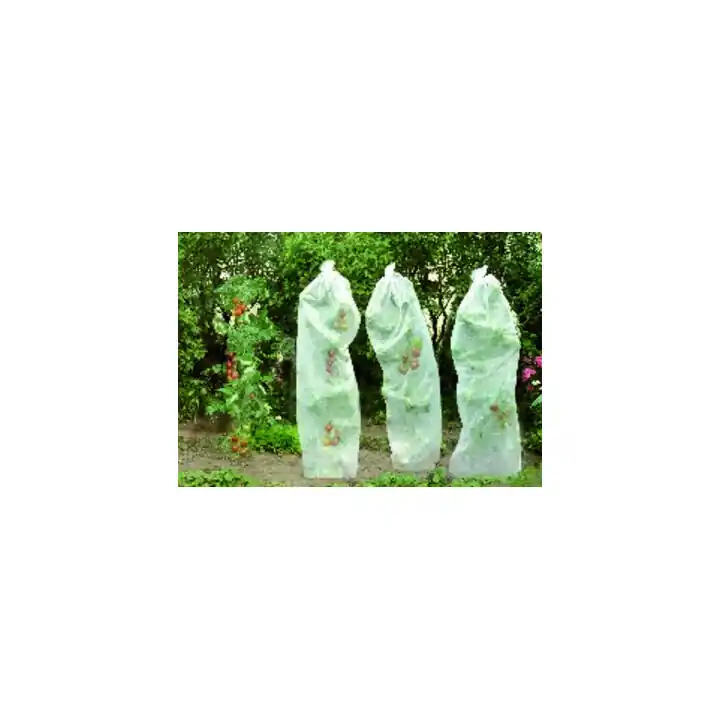 floraworld Voile de mûrissement pour tomates 0,8x5m 17g blanc Offre Spéciale