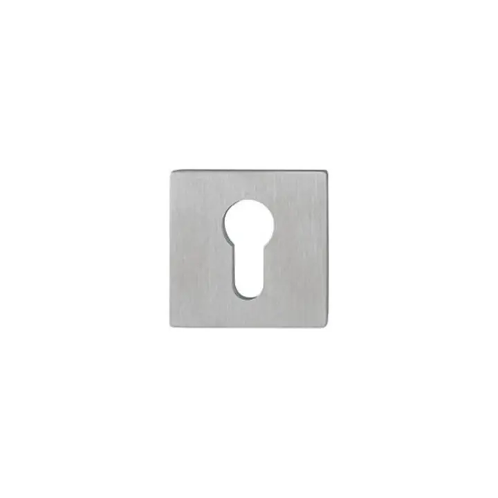 Paire de rosettes de clés E848NS VA F69 Epaisseur du blindage 2mm PZ quad. Pas Cher