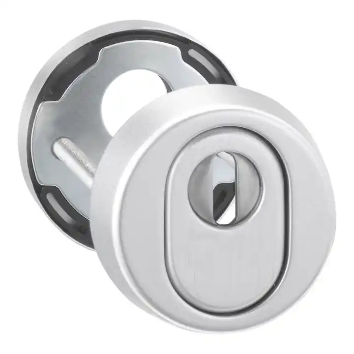 Retour Gratuit edi Rosace de protection pour clé 7256, cylindre profil percé, RH15 ALU, anodisé EV1