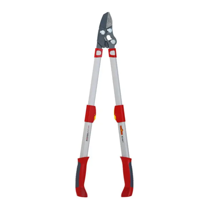 Livraison Express Cisaille à branches à enclume WOLF-Garten POWER Cut*** RS 900 T
