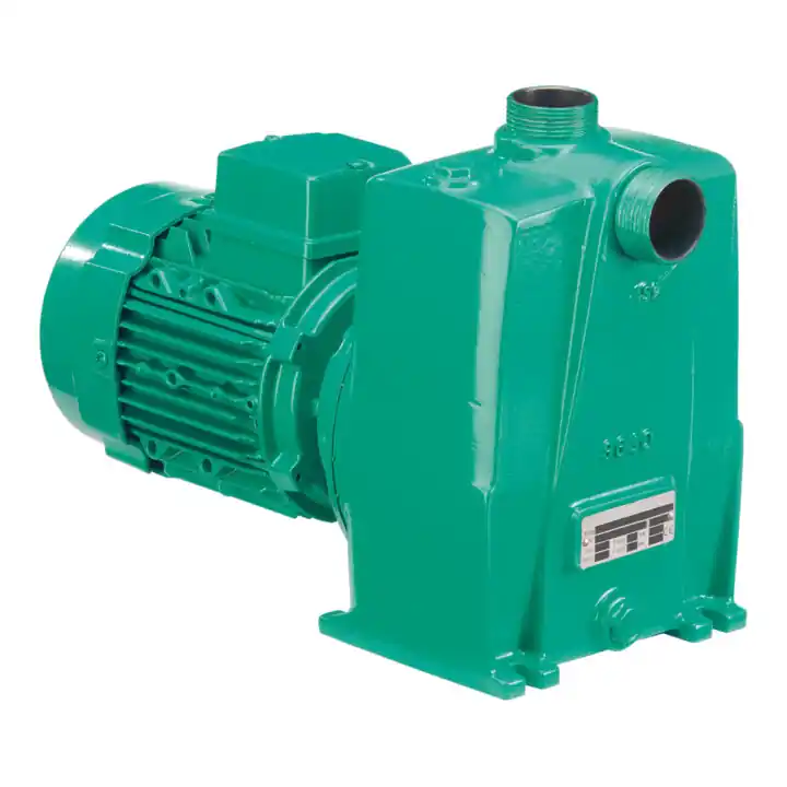 Wilo Pompe eaux usées Drain LPC 50/25, G 2, 2,2 kW, auto-amorçante Affaire À Saisir