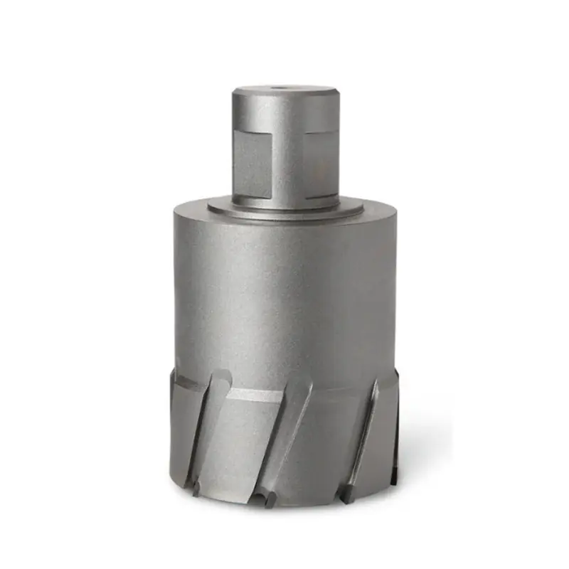 Fraise HM Ultra 100 avec porte outilWELLDON 32 – FEIN 63127814010 Seulement Aujourd’hui